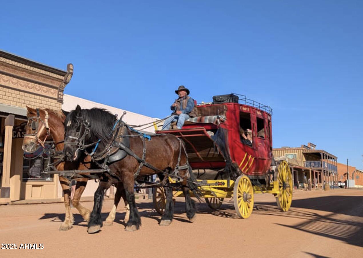 000 E COUGAR Trail 98