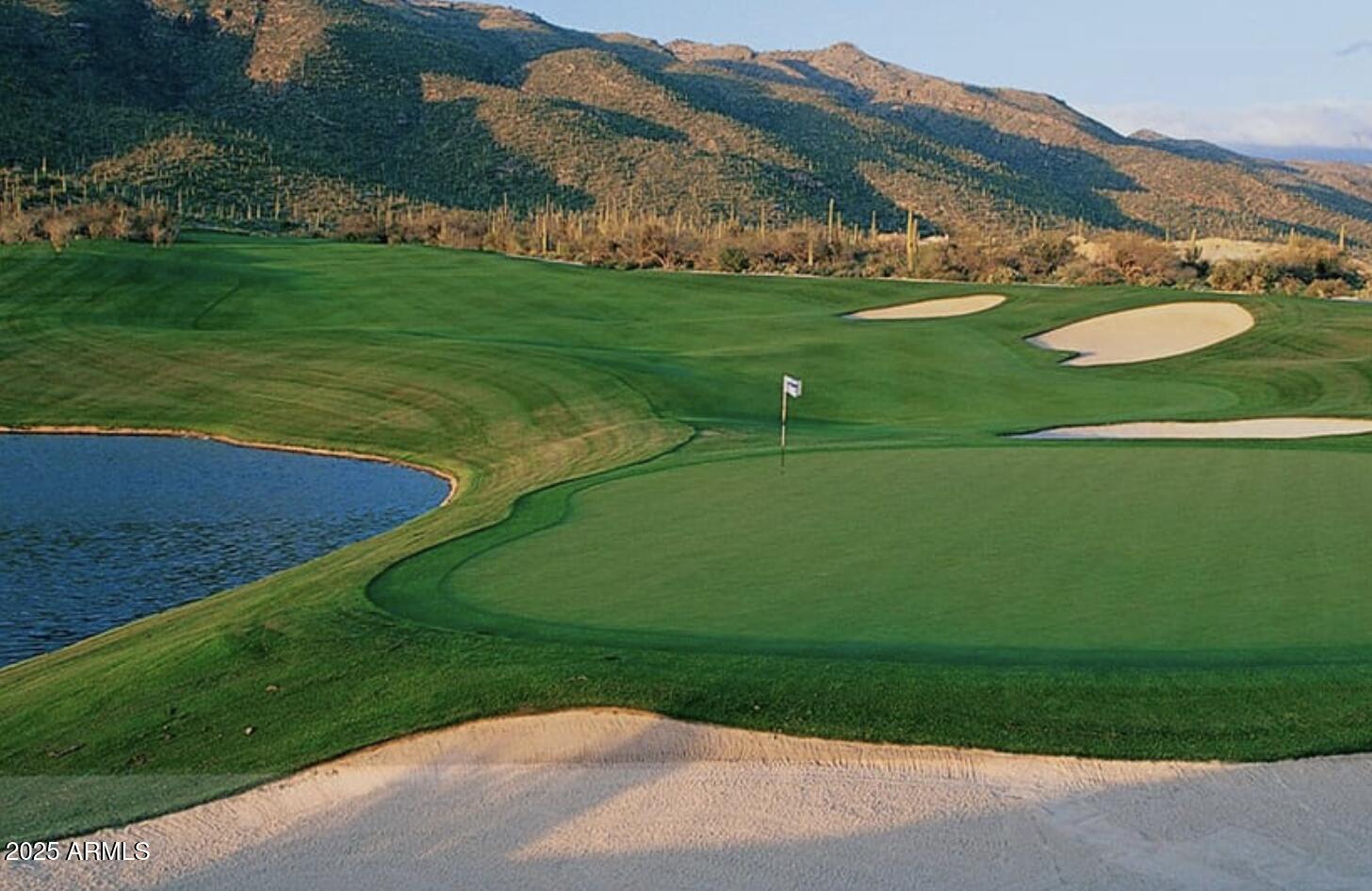 000 E COUGAR Trail 98