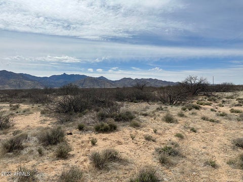 Photo of Bbb S Buckeye Apache B Road #9, Bowie, AZ 85605 (MLS # 7076679)