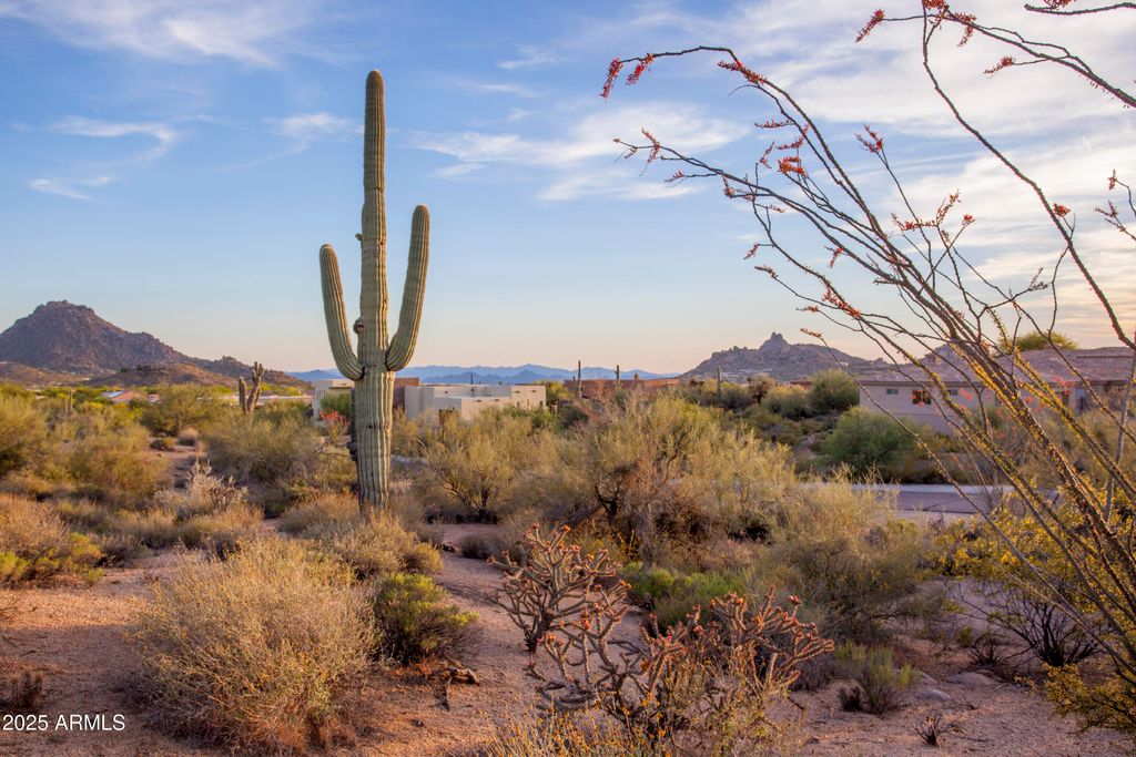 Photo of 28787 N 114th Street #N &amp; P, Scottsdale, AZ 85262 (MLS # 6992599)