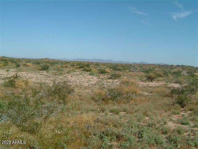 Homes for Sale in Queen Creek Arizona 4 0000 El Camino Del Sol -- -