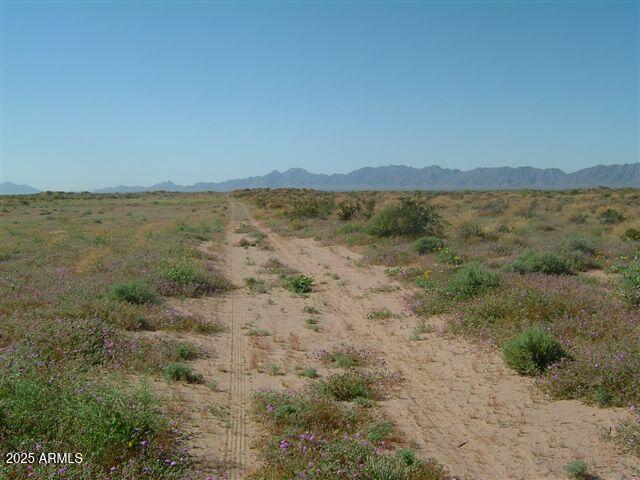 Homes for Sale in Queen Creek Arizona 3 0000 El Camino Del Sol -- -