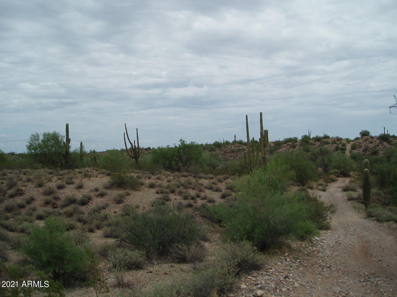 290XX W Dove Valley Road -