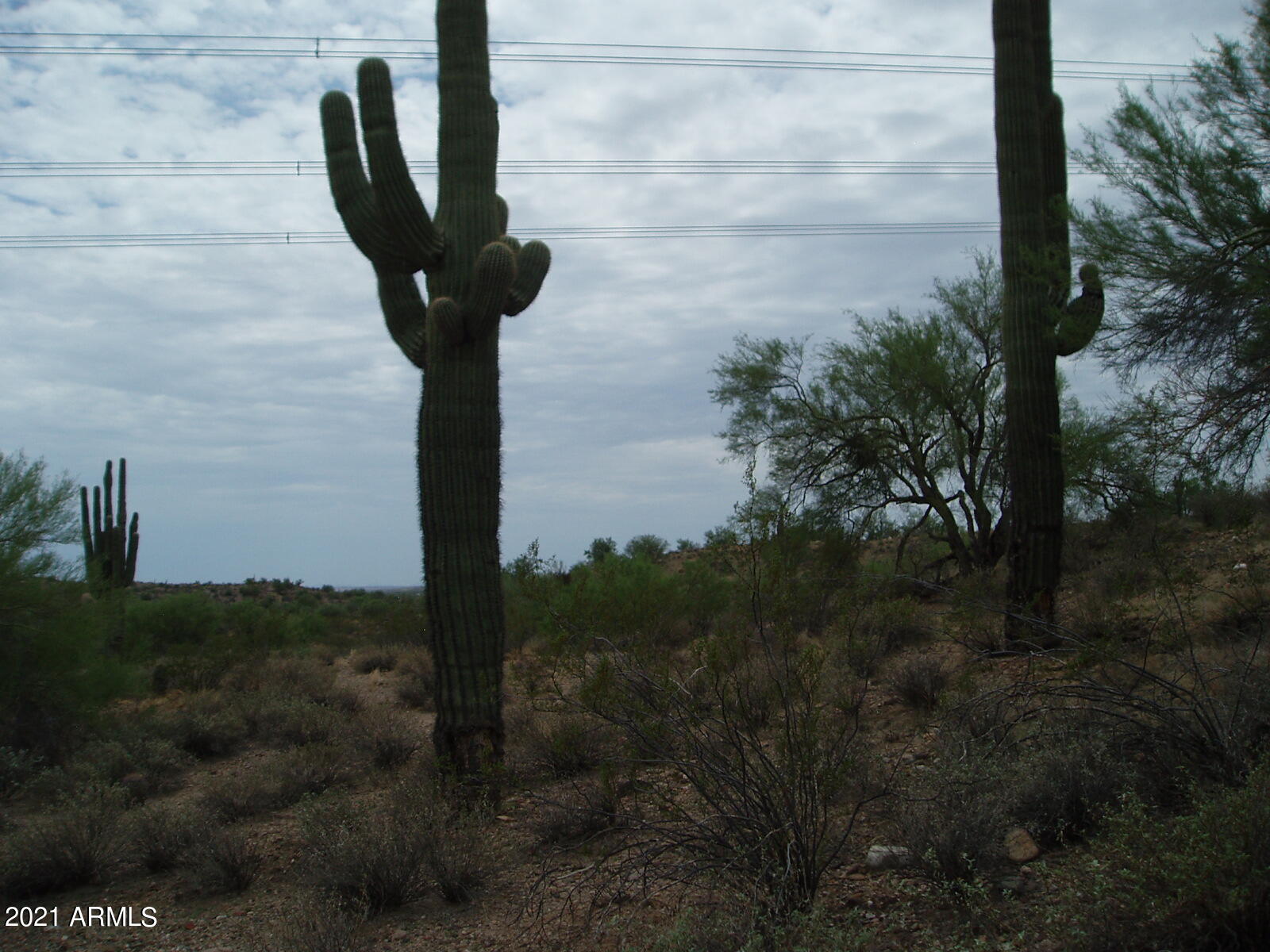 290XX W Dove Valley Road -