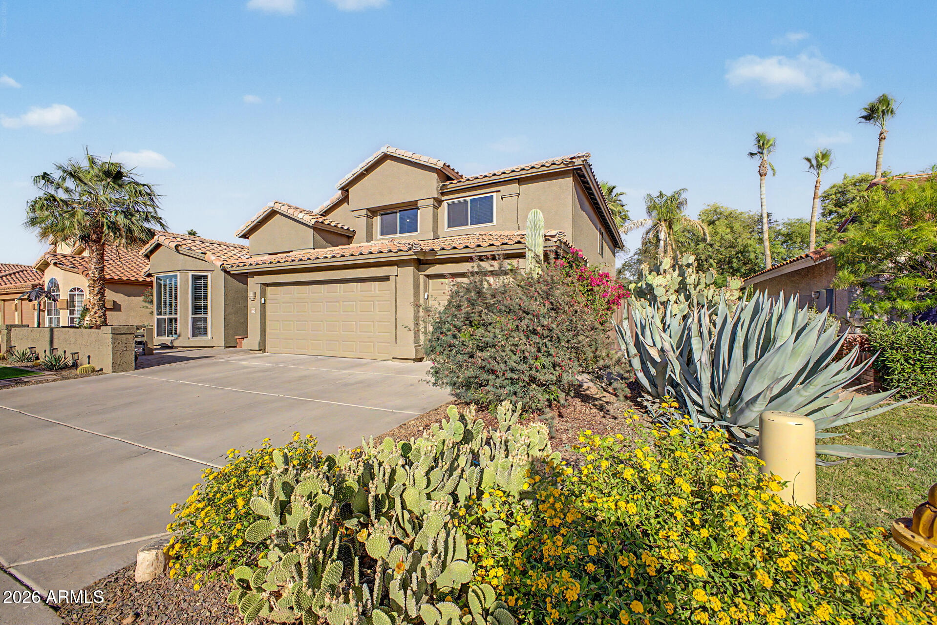 685 N CHOLLA Street