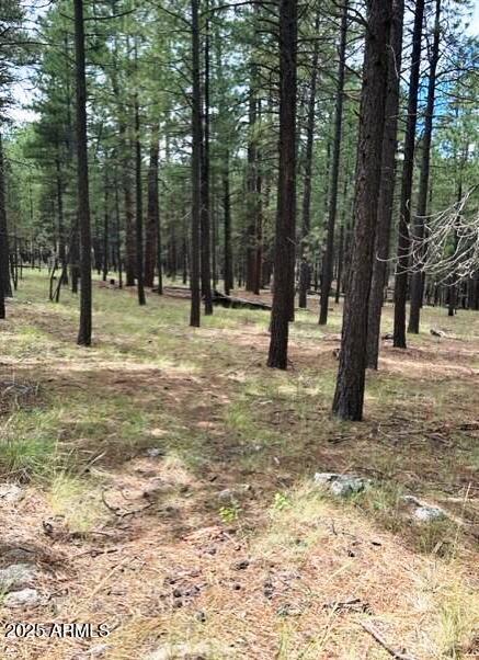 5131 Forest Service Road 137A Road Prcl40375003B A & B