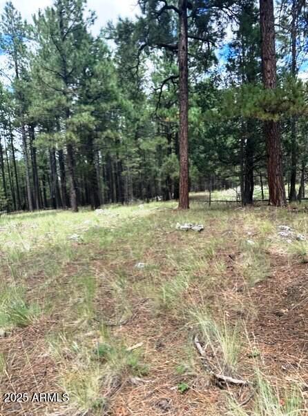 5131 Forest Service Road 137A Road Prcl40375003B A & B