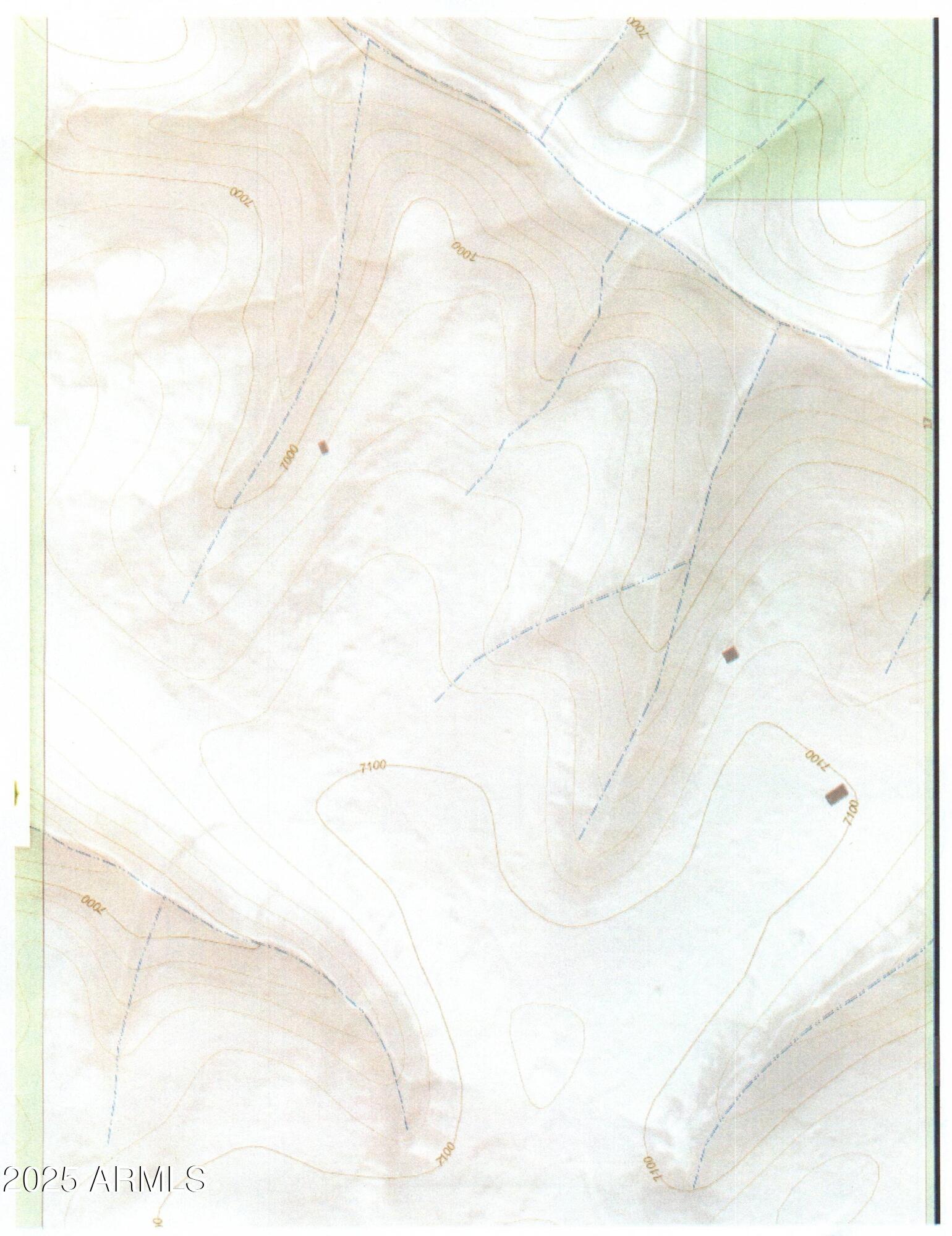 Stunning Ponderosa Pines - Land