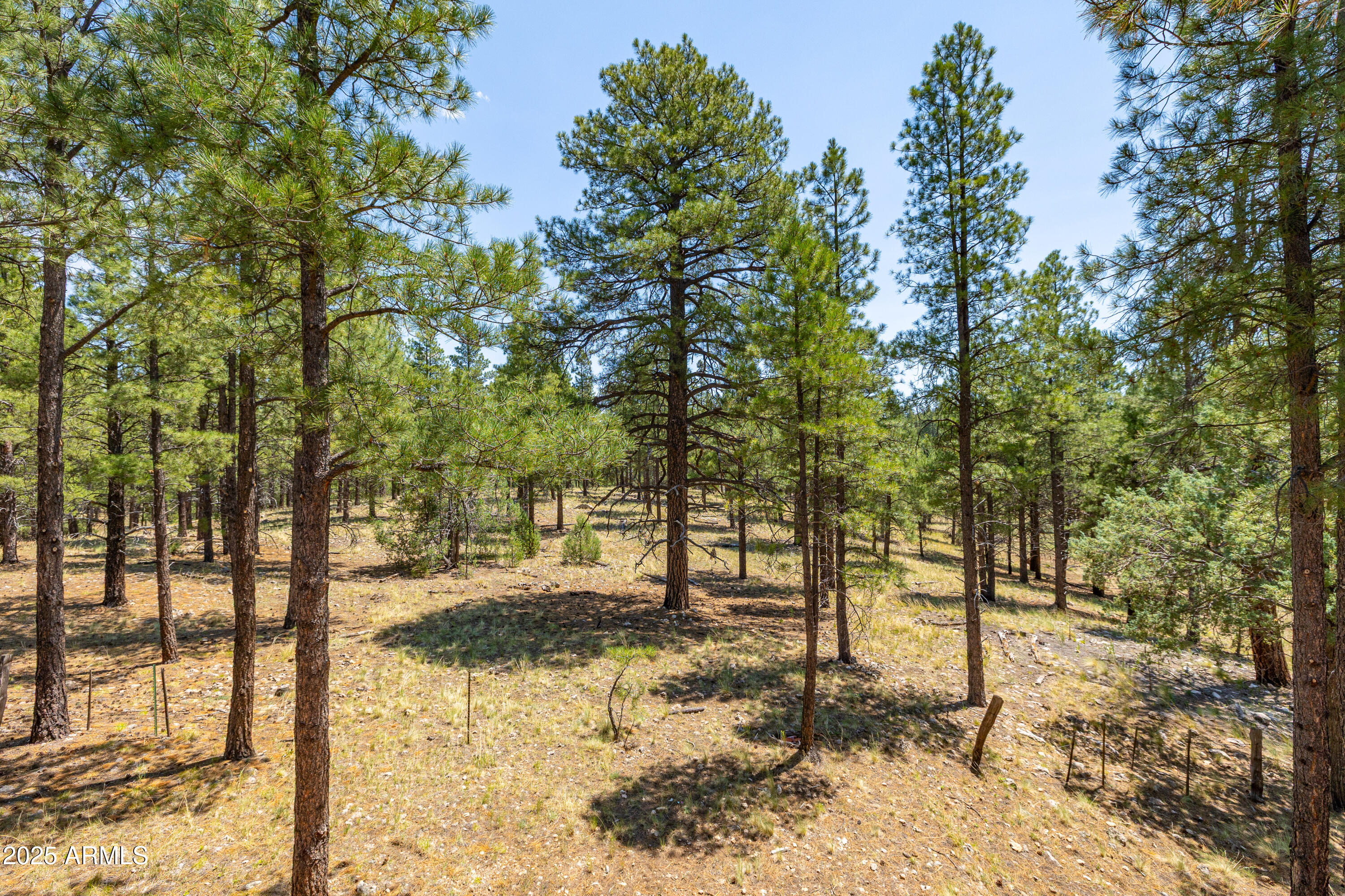 Pine Canyon - Residential