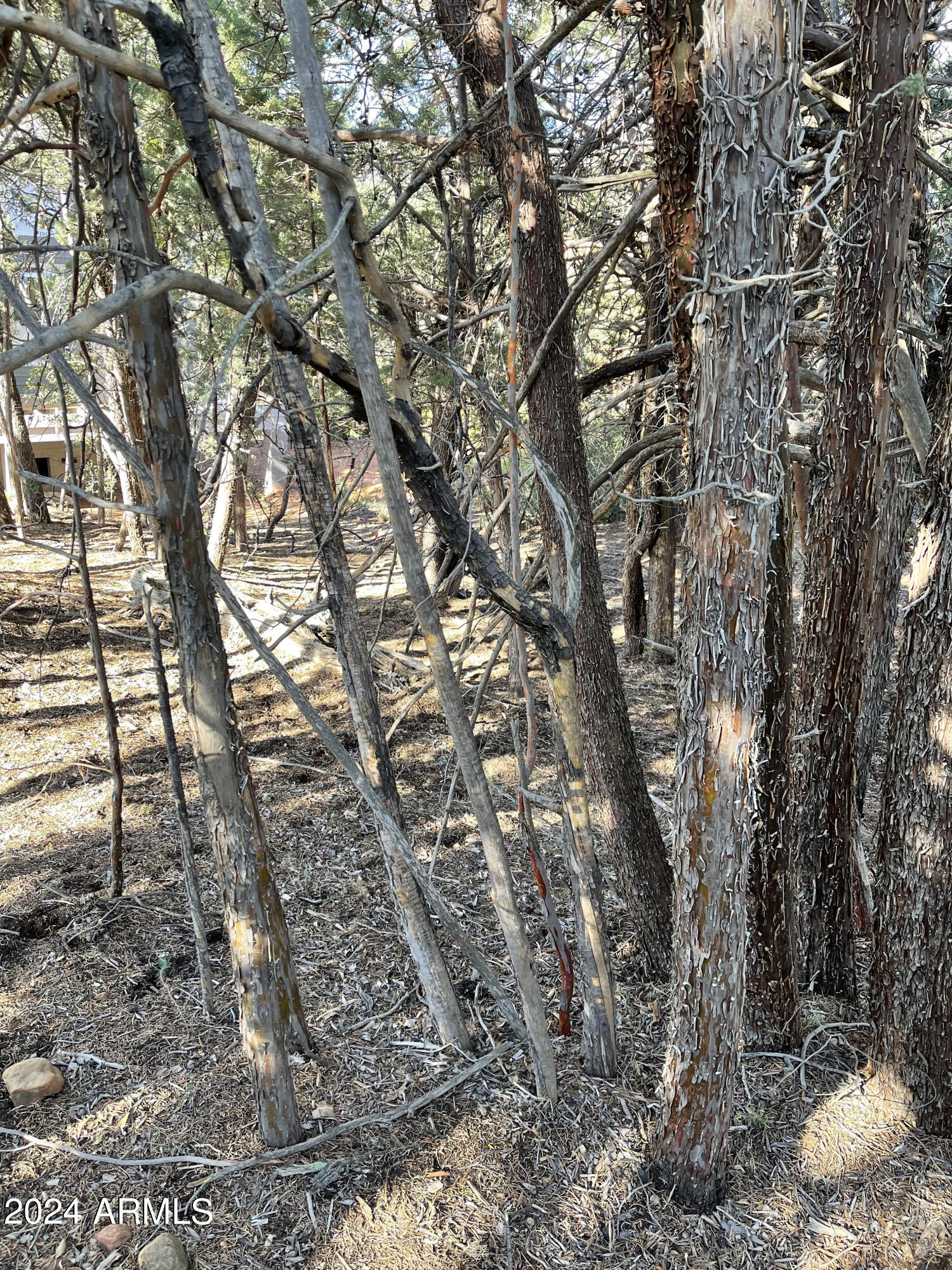 9 LODGEPOLE Circle 9