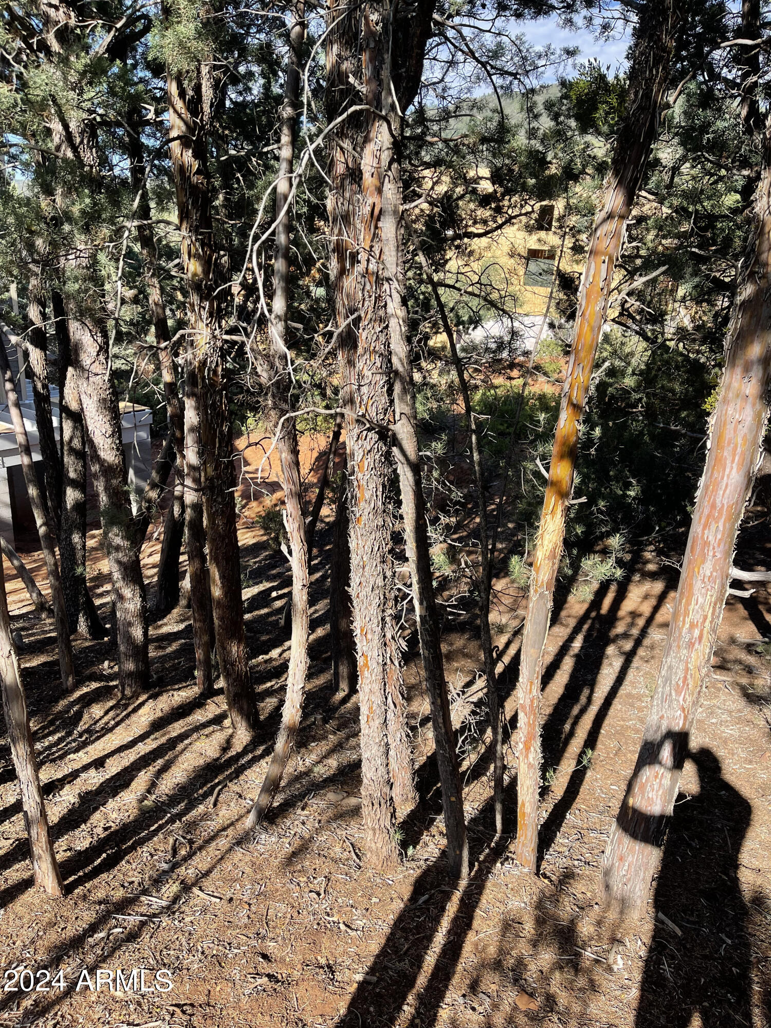 9 LODGEPOLE Circle 9