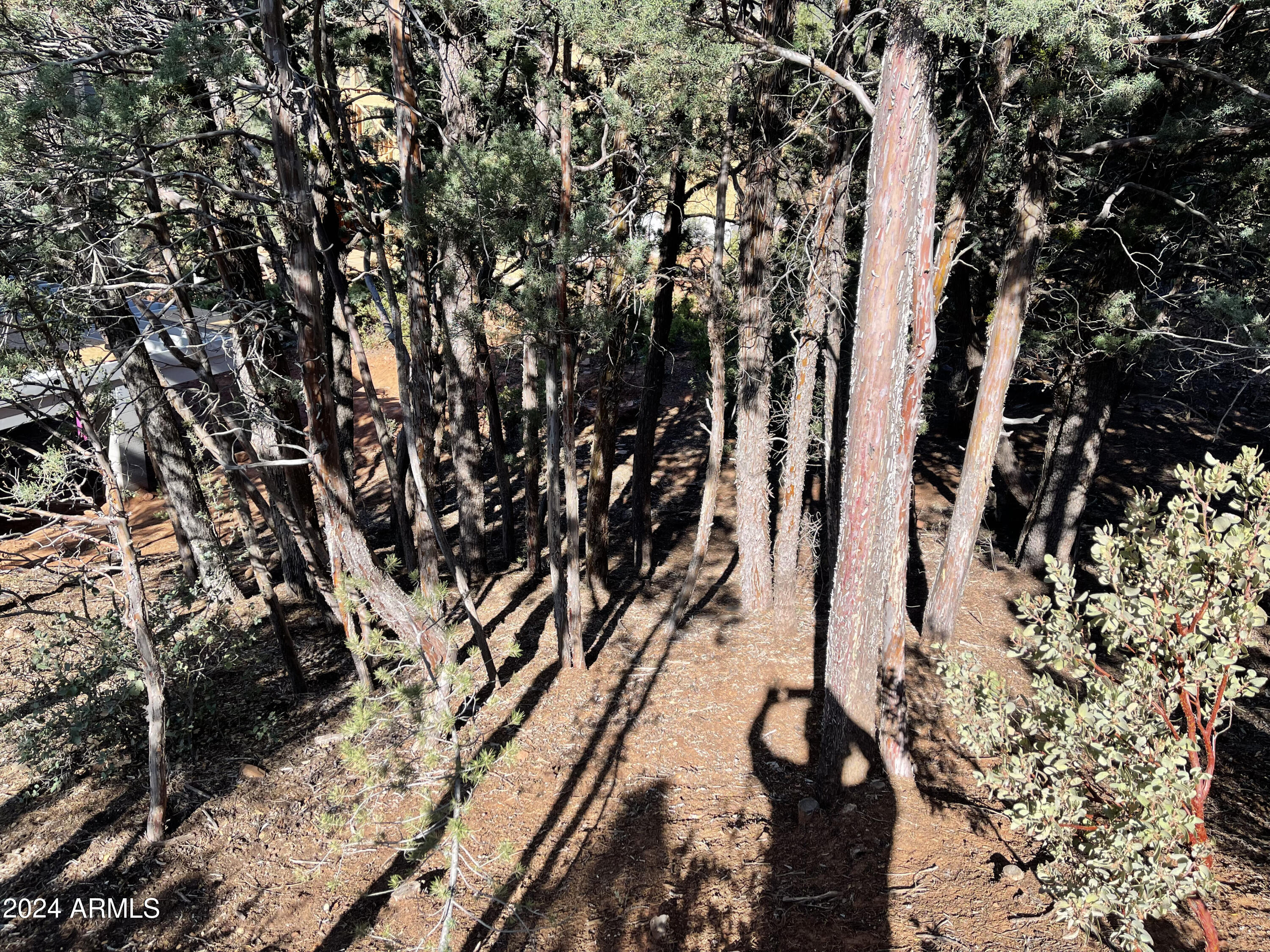 9 LODGEPOLE Circle 9