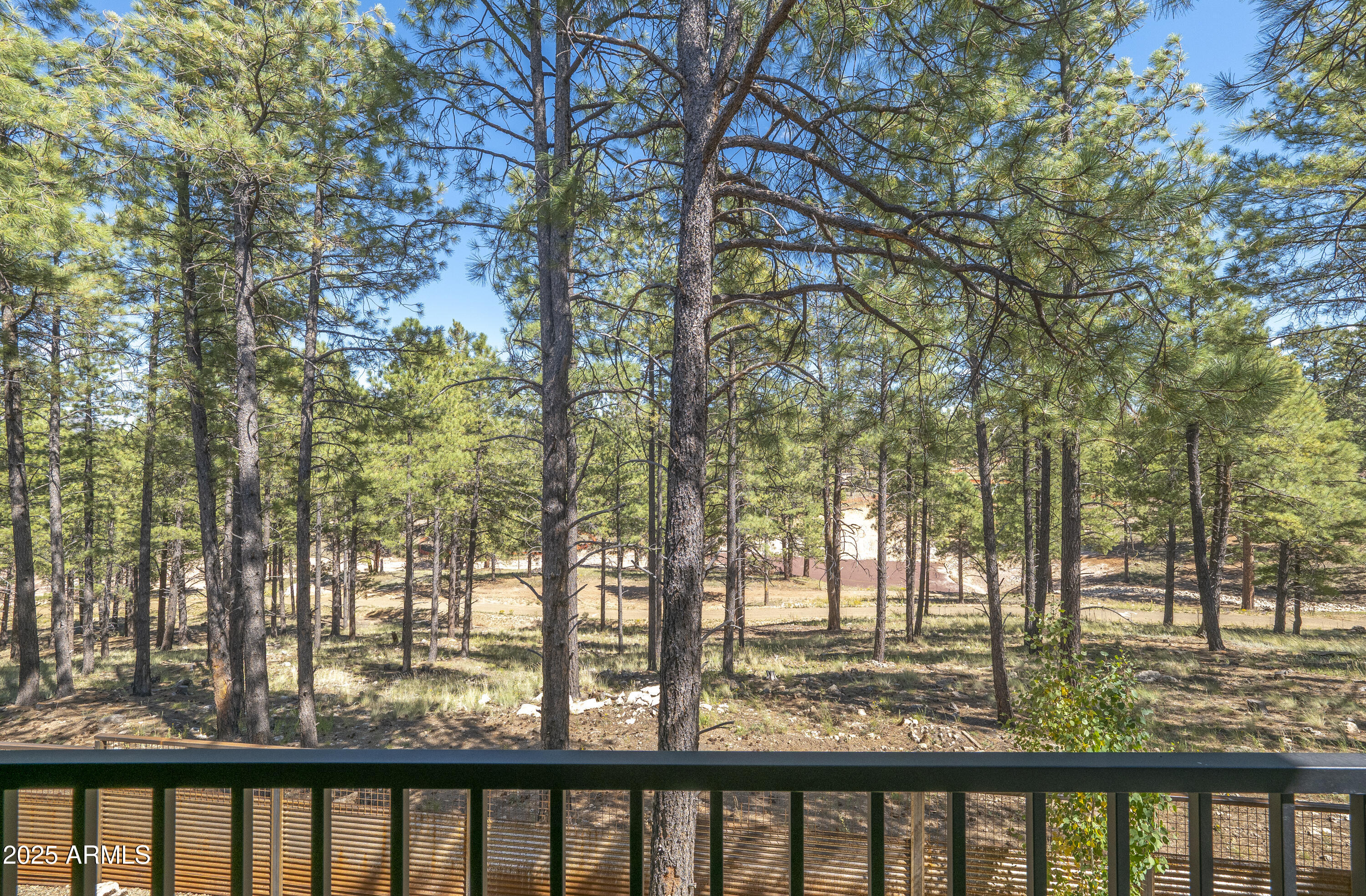 Homes for Sale in Queen Creek Arizona 3 2590 S COTTONROSE Lane