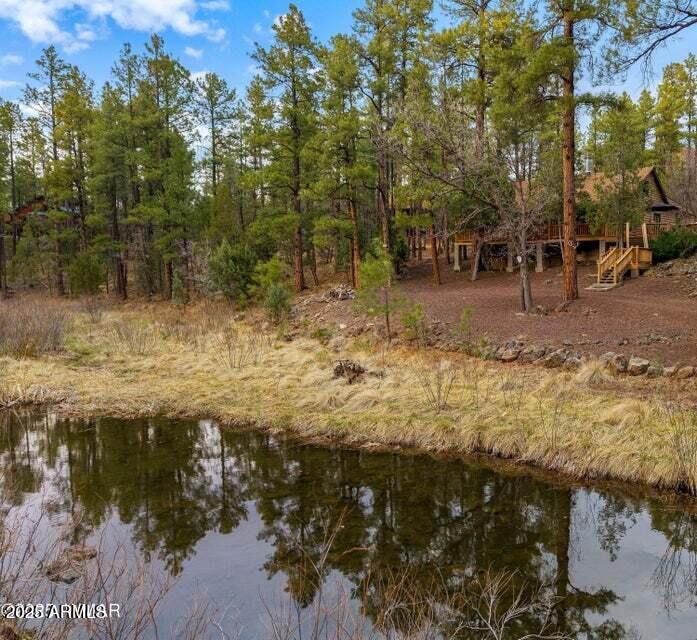 571 W PINE SHADOW Drive