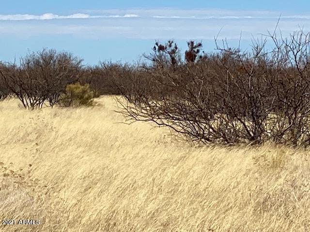 TBD S Calle Mia Road '-'