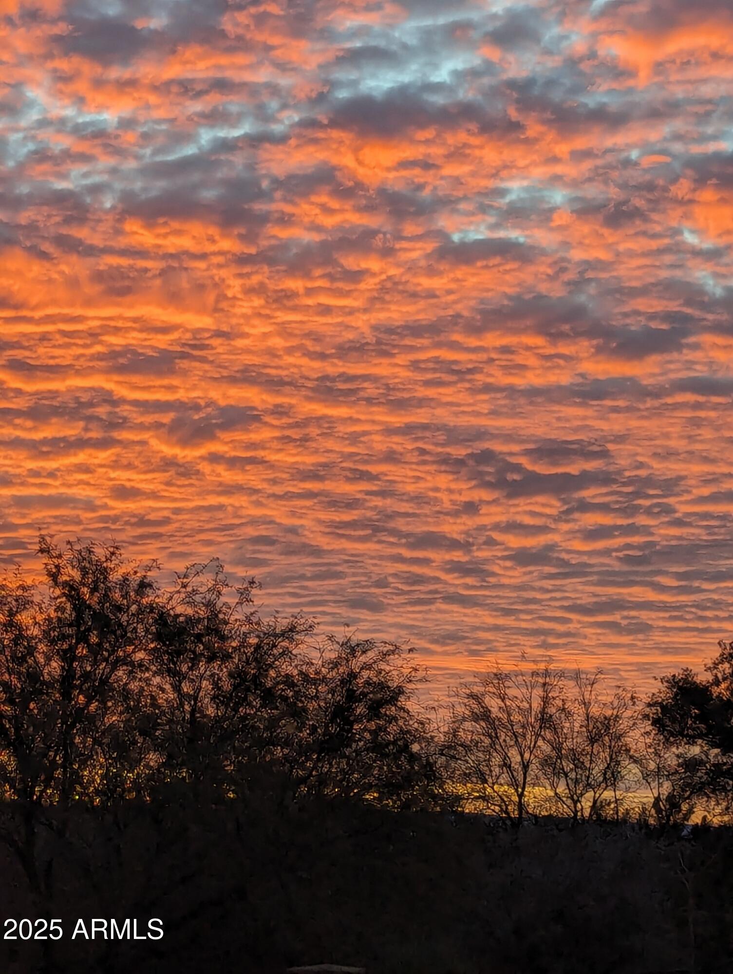 2235 W TRAIL BLAZER Drive W