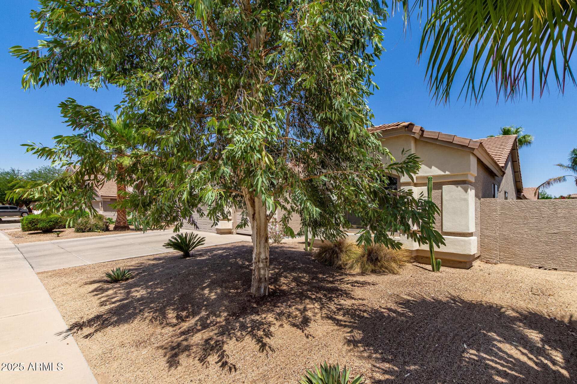 6958 W MORNING DOVE Drive