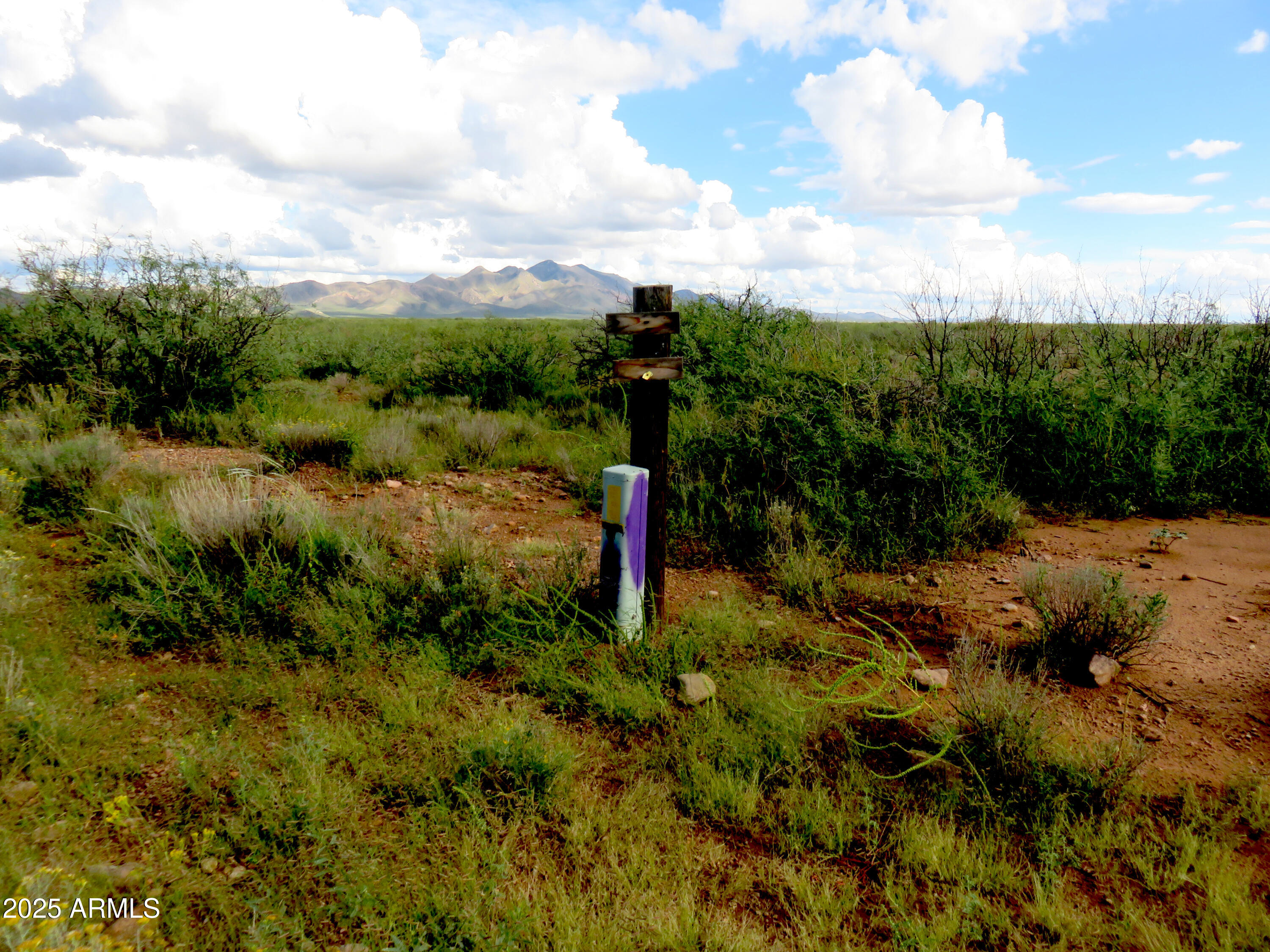 TBD W Austin Henely Road 9