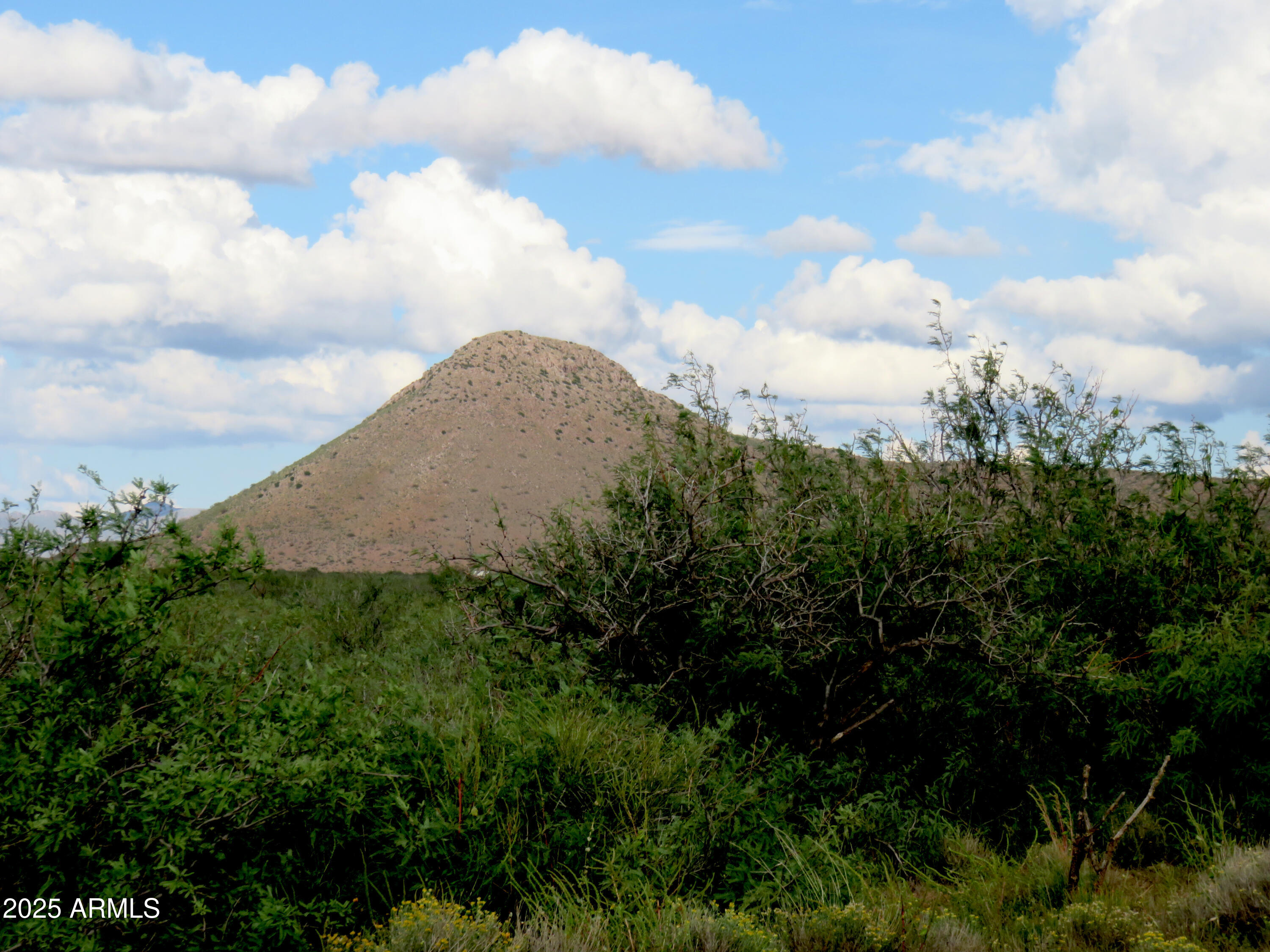 TBD W Austin Henely Road 9