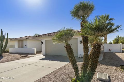 25806 S BOXWOOD Drive Sun Lakes AZ 85248