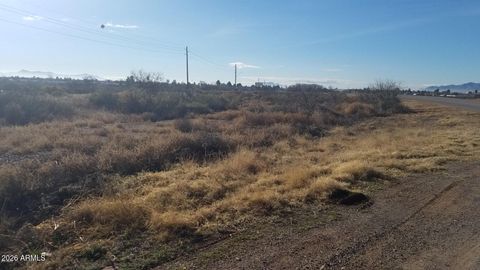 XXXX Leslie Canyon Road '''-''' Douglas AZ 85607