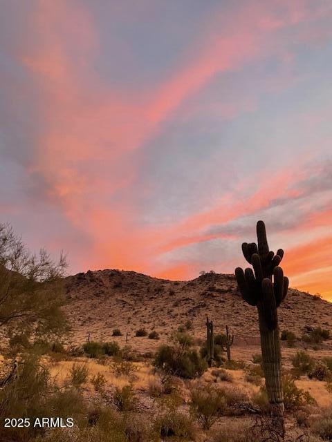 7539 W WARDANCE Circle -