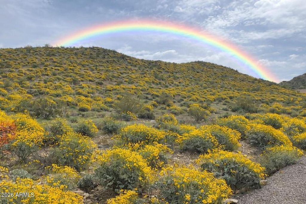 Photo of 7539 W Wardance Circle #-, Queen Creek, AZ 85144 (MLS # 6960021)