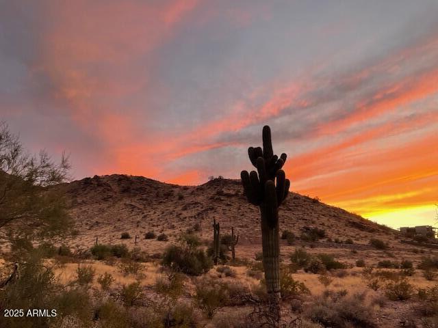 7539 W WARDANCE Circle -