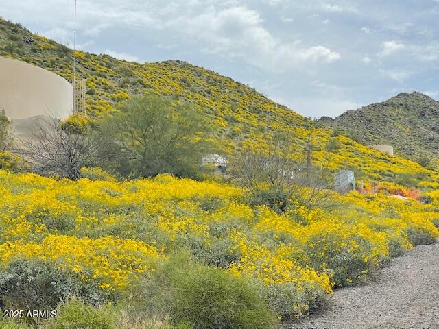 7539 W WARDANCE Circle -