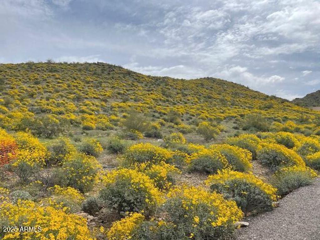 Photo of 7539 W Wardance Circle #-, Queen Creek, AZ 85144 (MLS # 6960021)