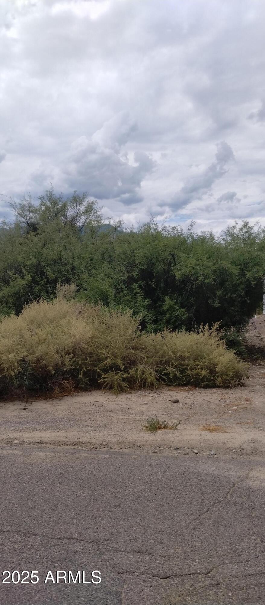 000 S Branding Iron Road 38