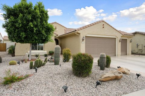 20341 N 271ST Avenue Buckeye AZ 85396