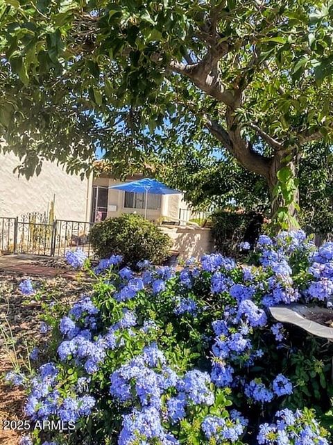 A home in Sierra Vista