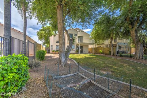 A home in Chandler