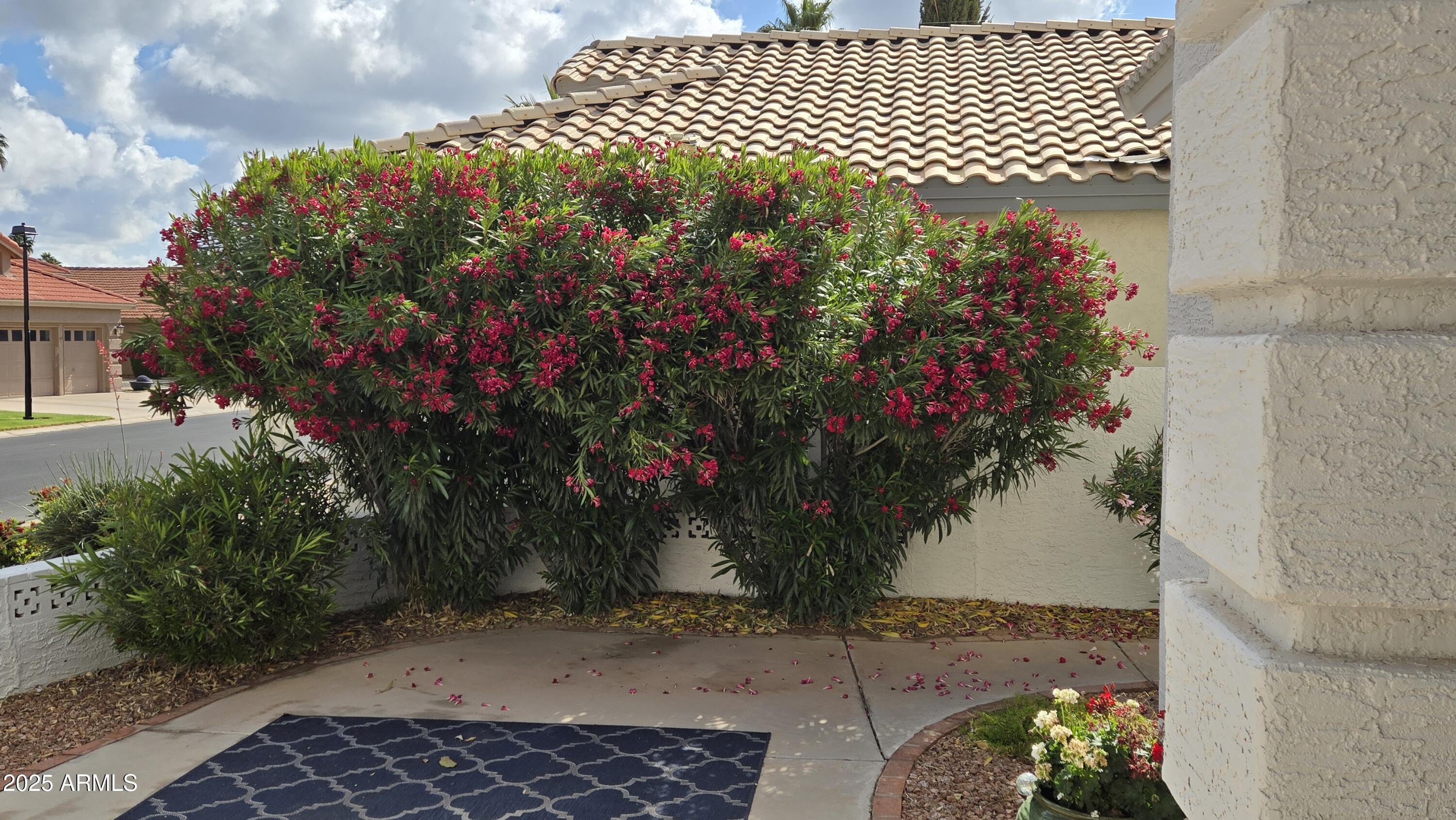 10549 E CEDAR WAXWING Drive