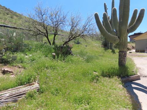 Single Family Residence in Superior AZ 211 Crowe Street 34.jpg