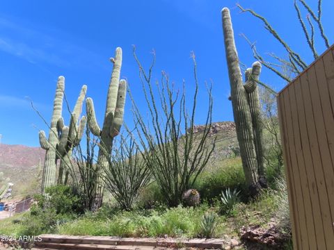 Single Family Residence in Superior AZ 211 Crowe Street 27.jpg