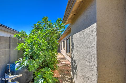 A home in Queen Creek