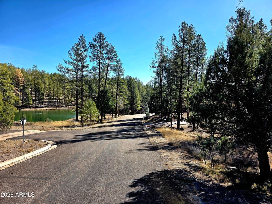 You will Love this .42+/- Acre Hunter Creek Ranch Corner Lot with Fantastic Forest & Pond Views! This is a highly desirable gated community with paved roads, sewer, underground utilities, and its own private water company! This lot has HOA & County approved plans for a 8606 sq.ft. home with basketball court & a 4 car garage, so whether you use the plans that come with the lot or build your own custom home, you can see you have plenty of room! You will also love the short walk to the Pond and of course all of the forest 4 legged friends that frequent the area. Don't miss this one!