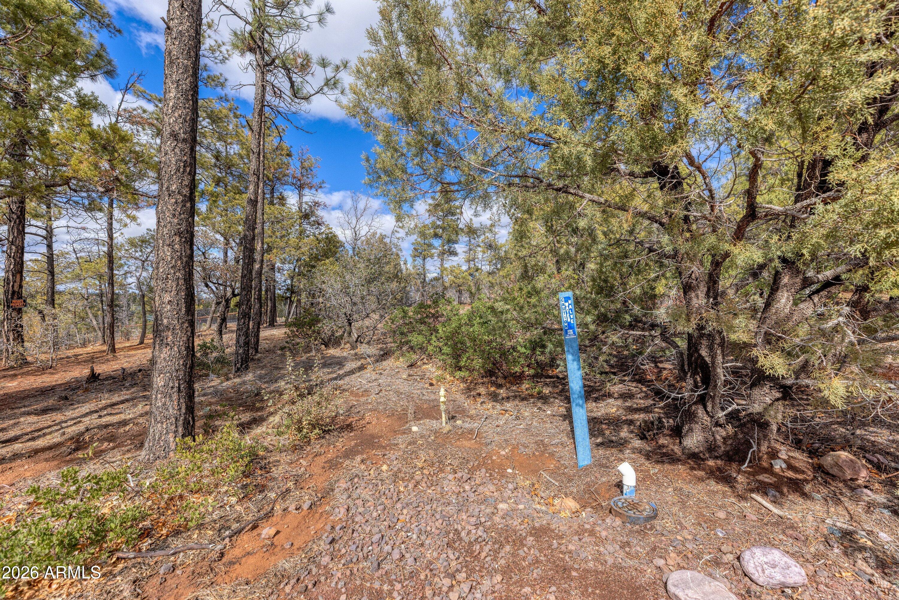 EVERGREEN ESTATES UNIT 1 - Land