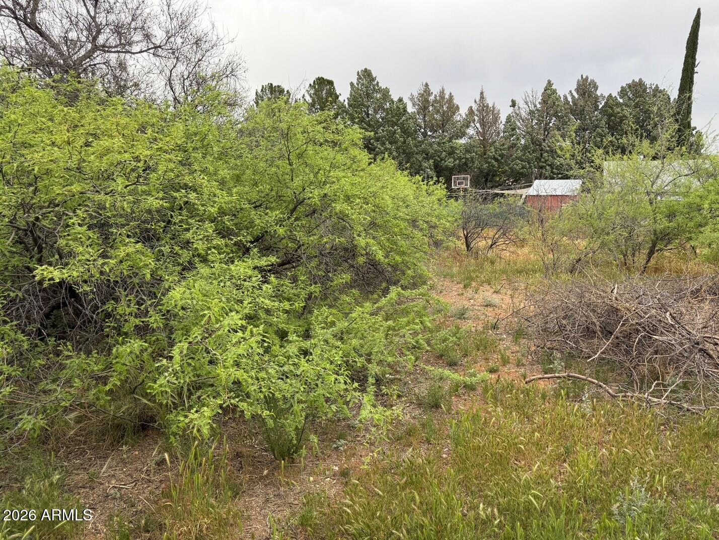 2211 S ROUNDUP Trail 297