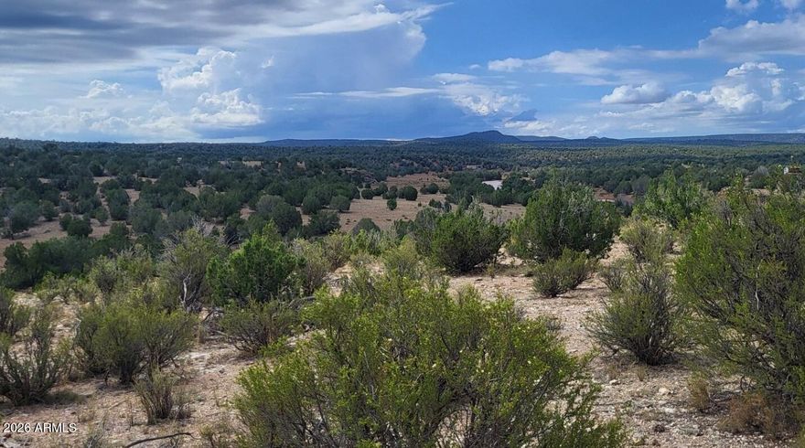 Nice easy access 40 acres. The east 20 acres has very nice elevated views. Has a drive that runs to the back of the property. The west 20 acres would make for great mini Ranch. Only 15 minutes from Ash Fork. Prime for Off-Grid development with 10 acre zoning. Come check out the views. Ash Fork has a great K-12 school.
Only 40 minutes to Williams.