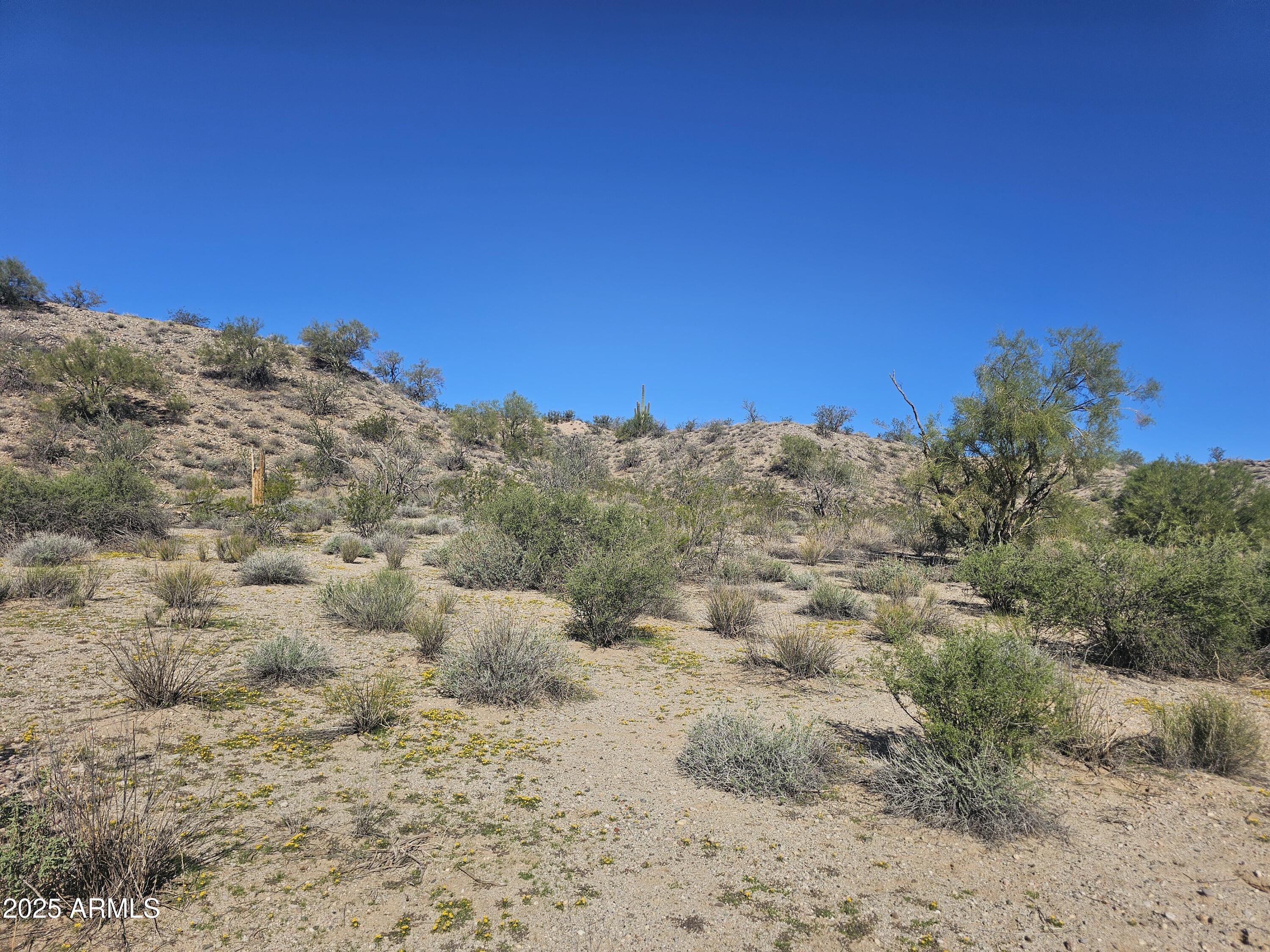 29240 W ASHLER HILLS Drive 107