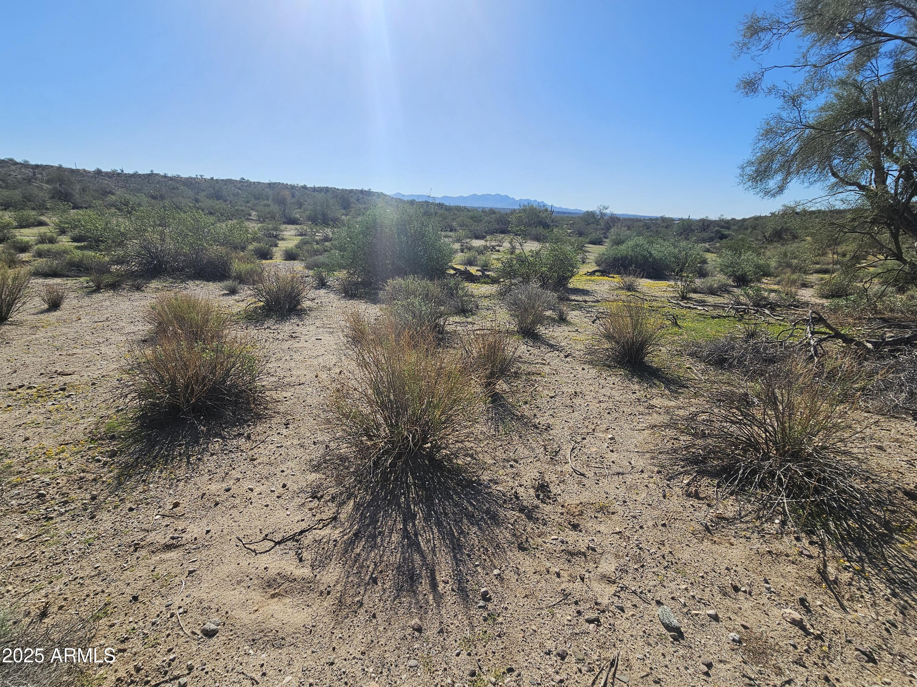 29240 W ASHLER HILLS Drive 107