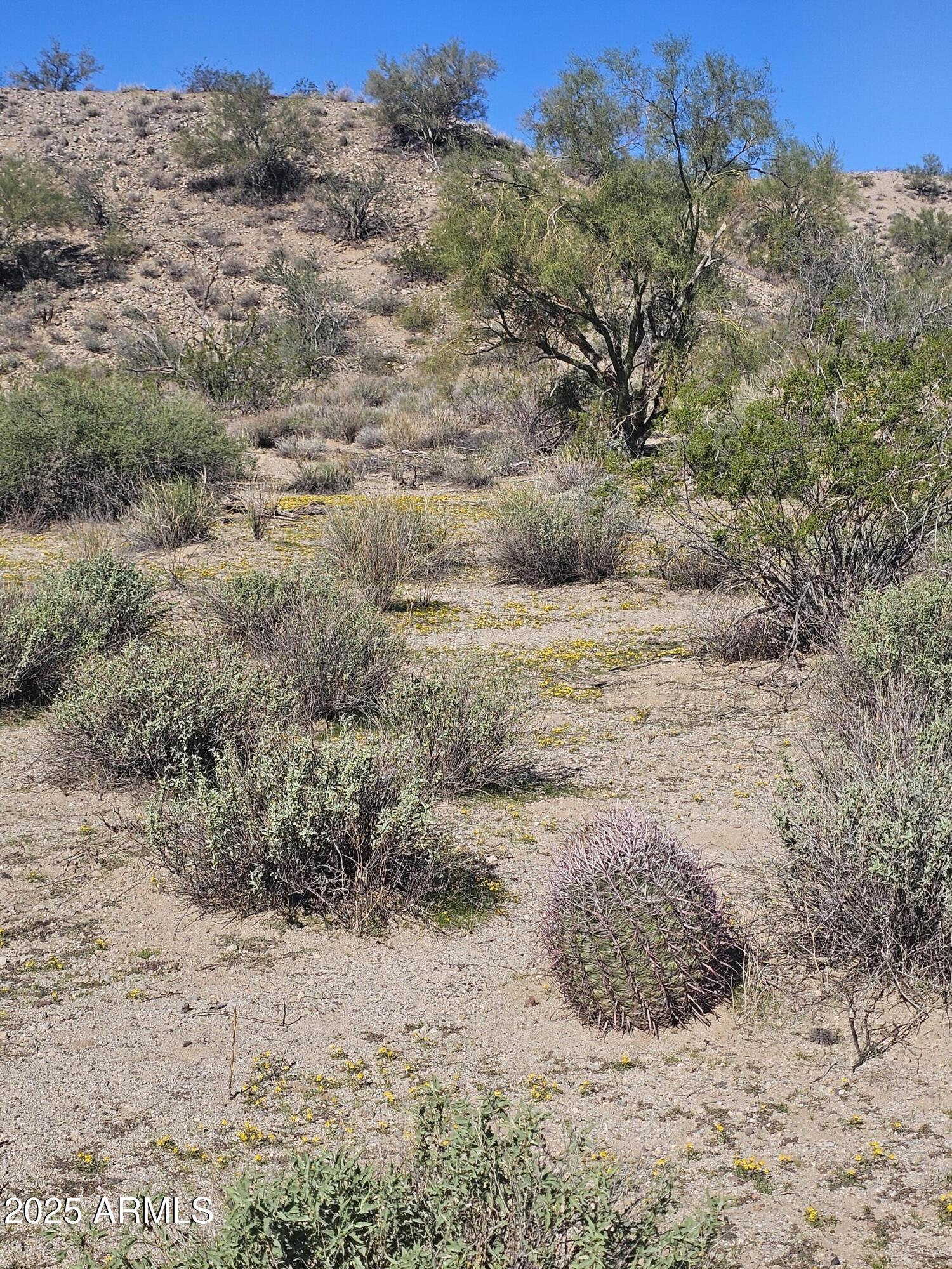 29240 W ASHLER HILLS Drive 107