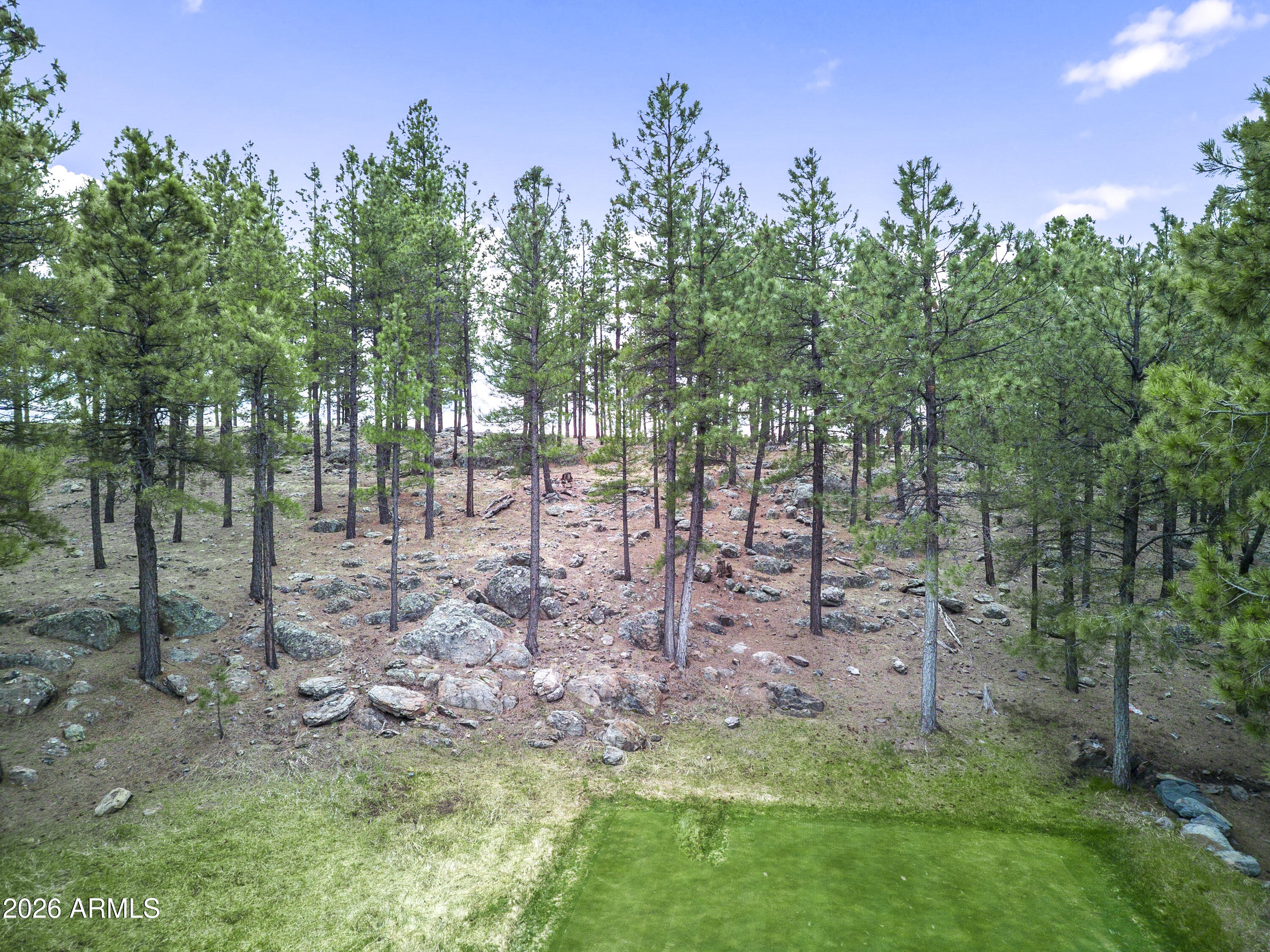 2832 Andrew Douglass -- 802