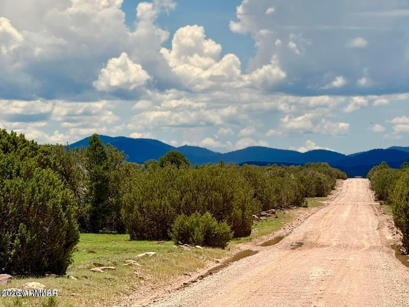121, 125, 127 & 129 Co Rd 8051 4.14 Acre -- -