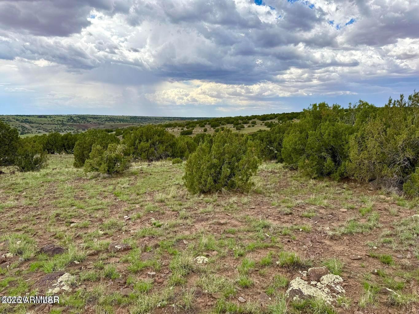 121, 125, 127 & 129 Co Rd 8051 4.14 Acre -- -