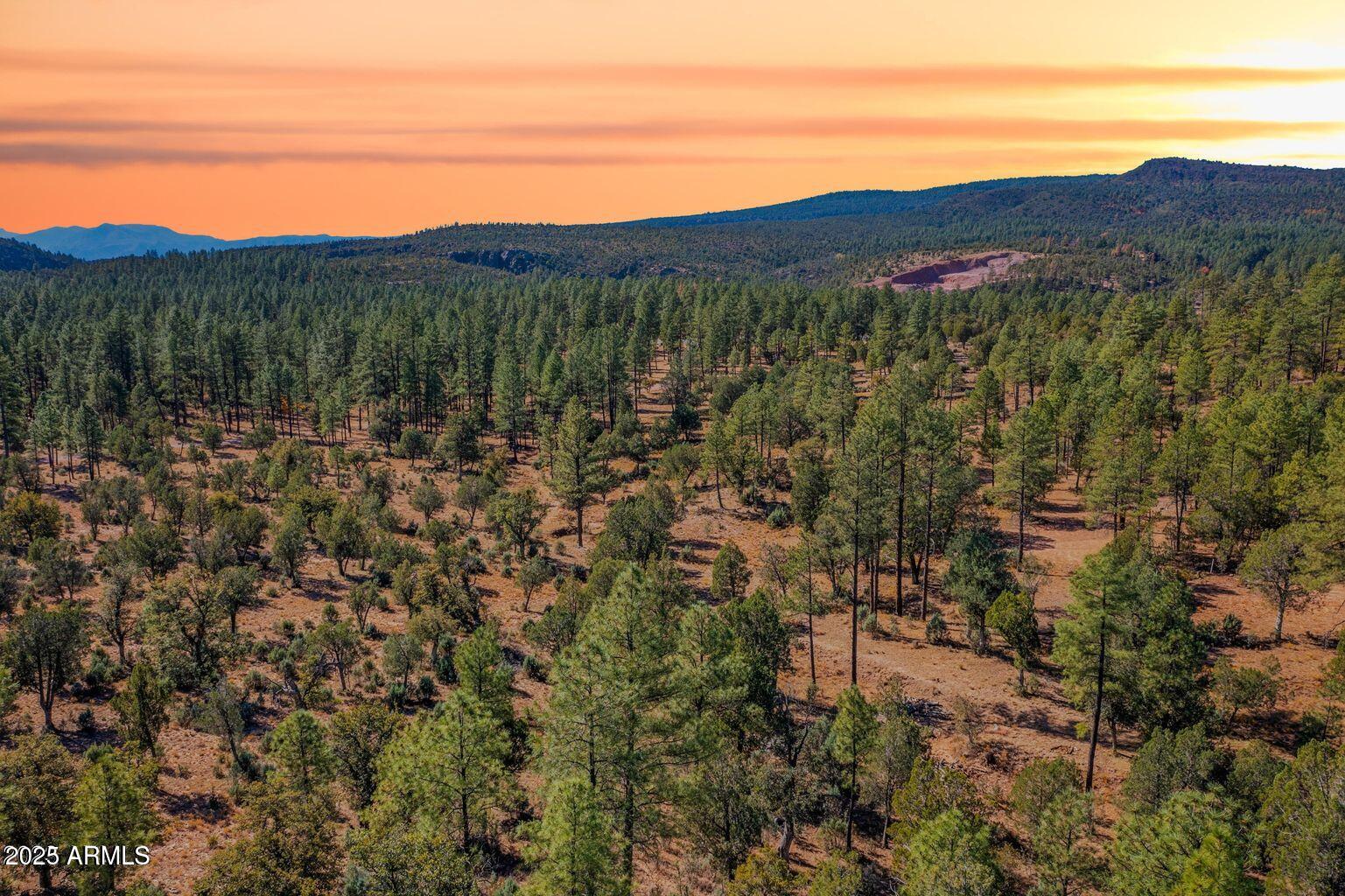 0000 Fawn #4 Drive A