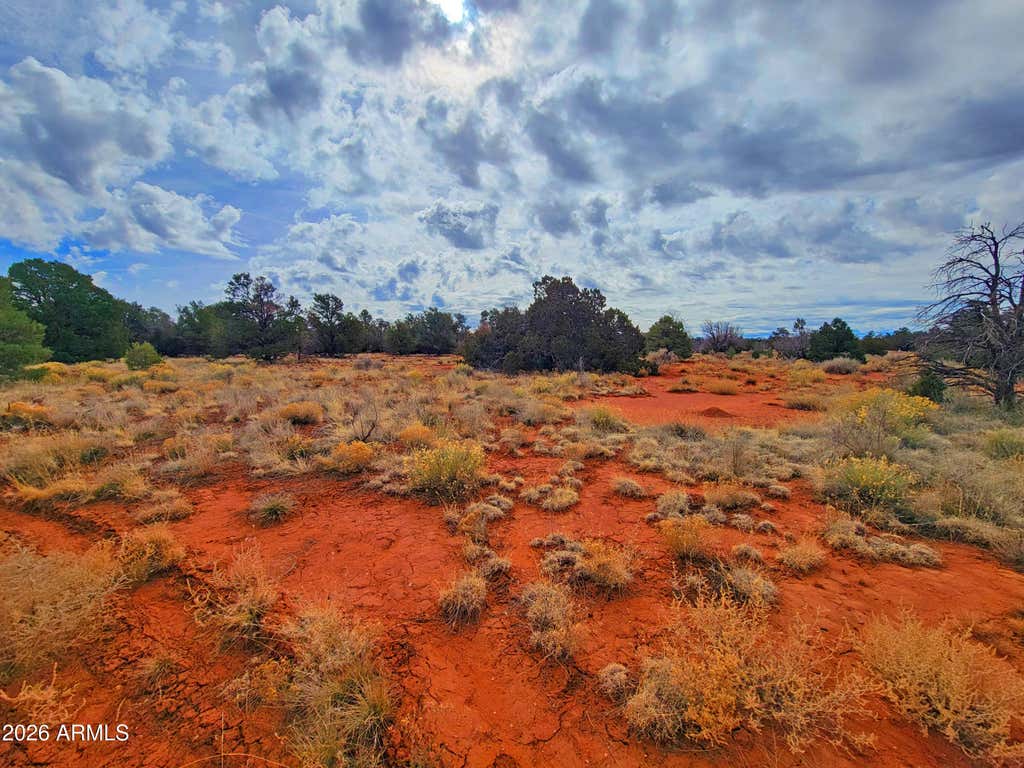 Photo of 694 S Lodestar Drive #353, Williams, AZ 86046 (MLS # 7056086)